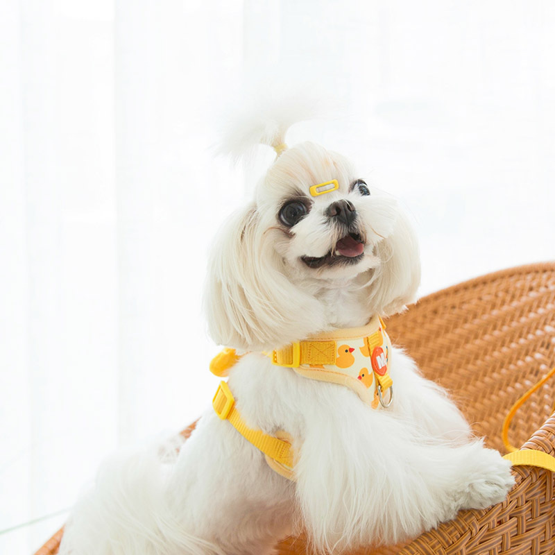 犬 ハーネス あひるの水遊びハーネス