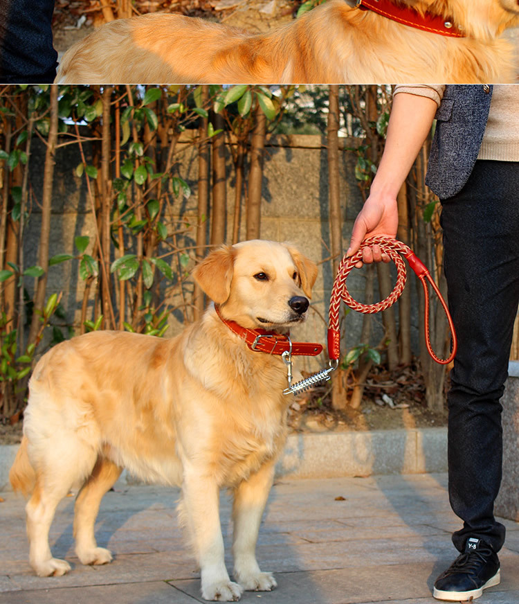 https://fulmo-img-server.com/wonderfulharness/d6a1ef56-bb88-41d8-8790-fdf34cc9c87b.jpg