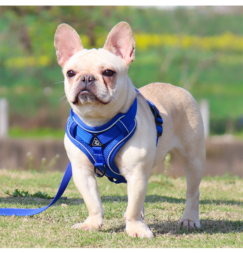 https://fulmo-img-server.com/wonderfulharness/d6bcdc5b-254d-4078-a2de-fd80ac710ebc.jpg