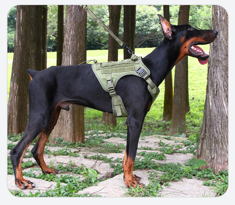 犬 ハーネス 軽量モールシステム デュアルハーネス