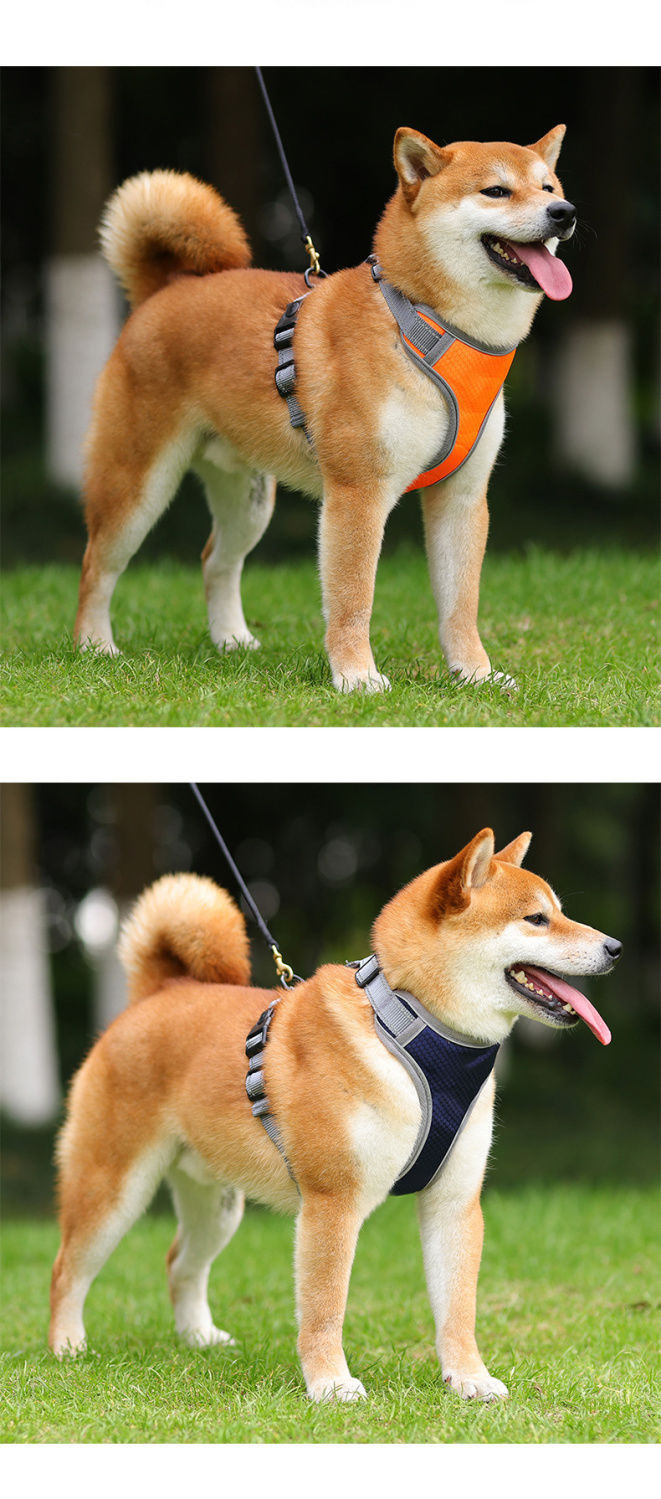 犬 ハーネス らくらく快適ベーシックハーネス