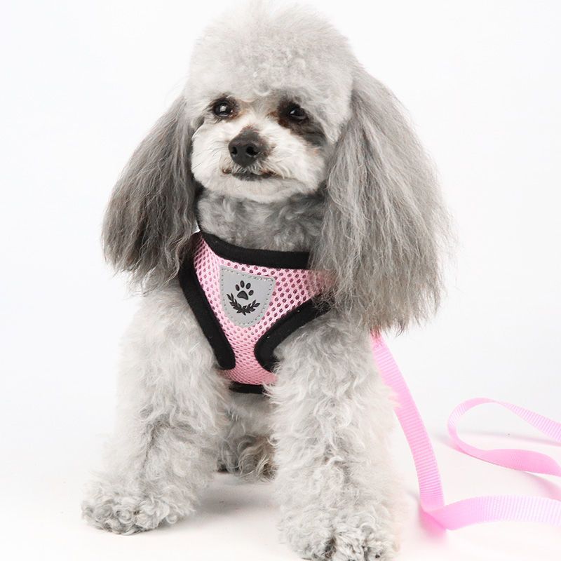 犬 ハーネス メッシュ通気ベーシックハーネス