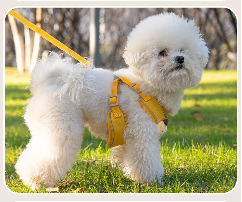 犬 ハーネス 優美な装いリボン付きハーネス