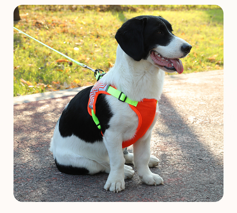 犬 ハーネス 軽やかメッシュ 犬用ハーネス