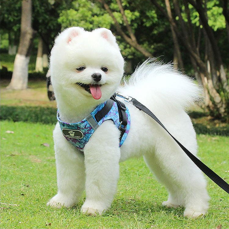 犬 ハーネス やさしさ包む メッシュハーネス
