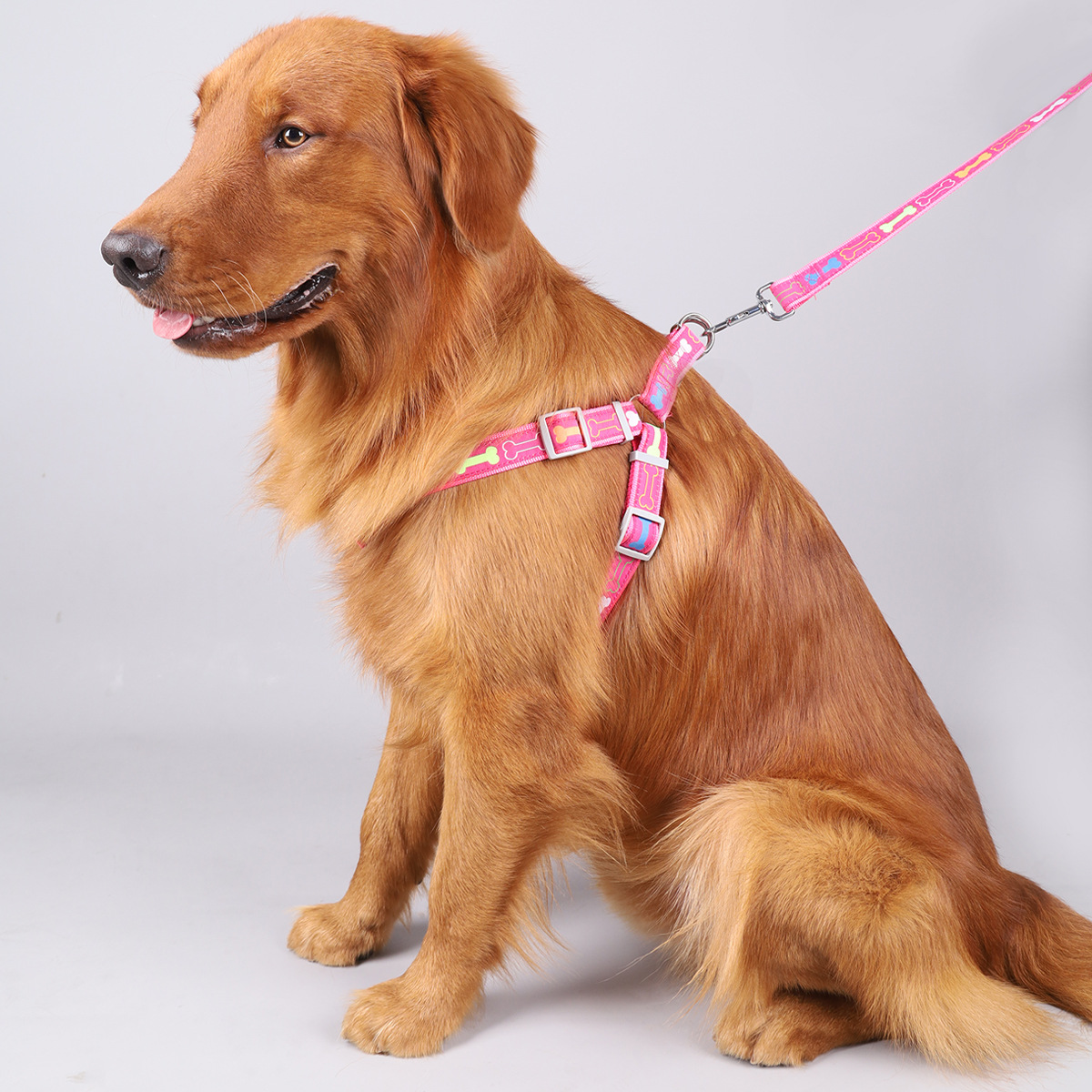 犬 ハーネス わんこの骨がらがらハーネスセット