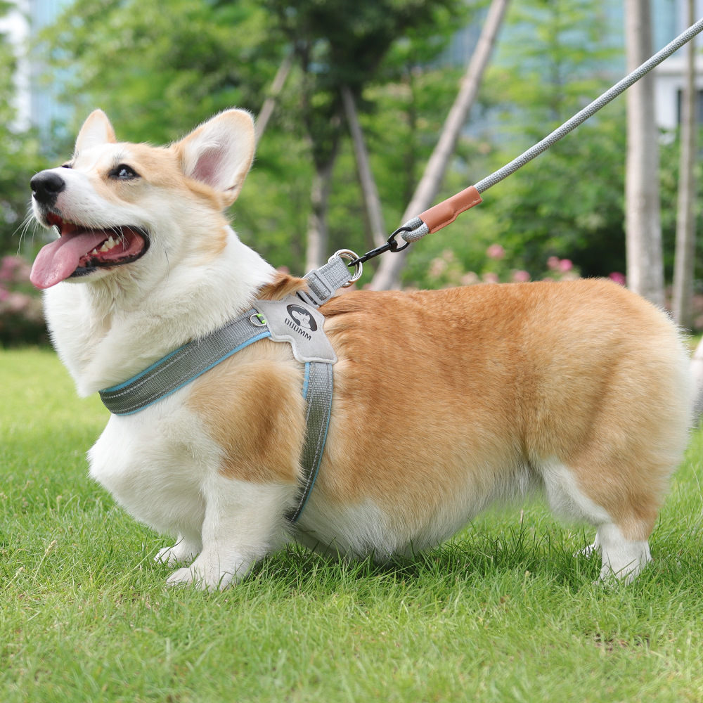 犬 ハーネス なめらか快適 シンプル装着ハーネス