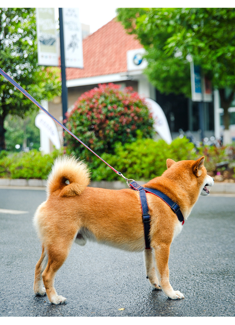 犬 ハーネス なめらか安心フィットハーネス