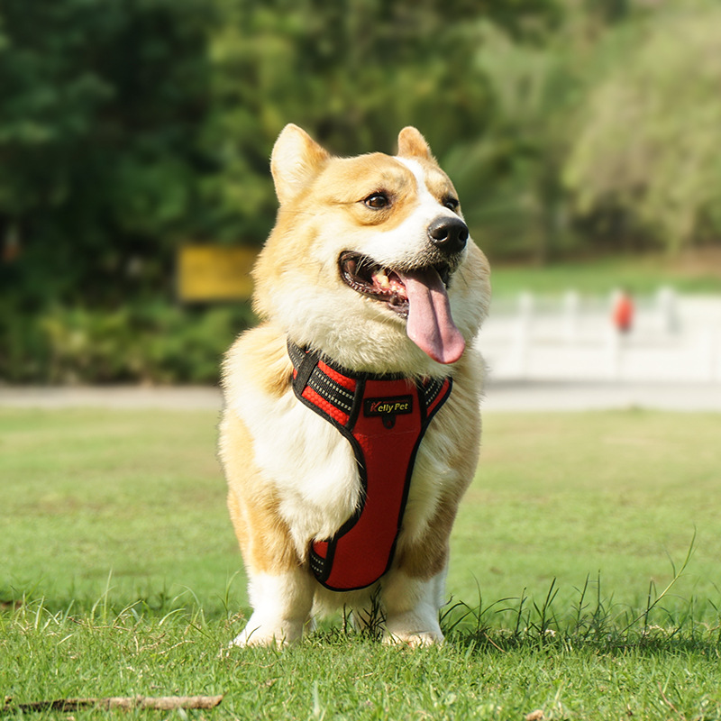 犬 ハーネス 愛犬快適メッシュハーネス