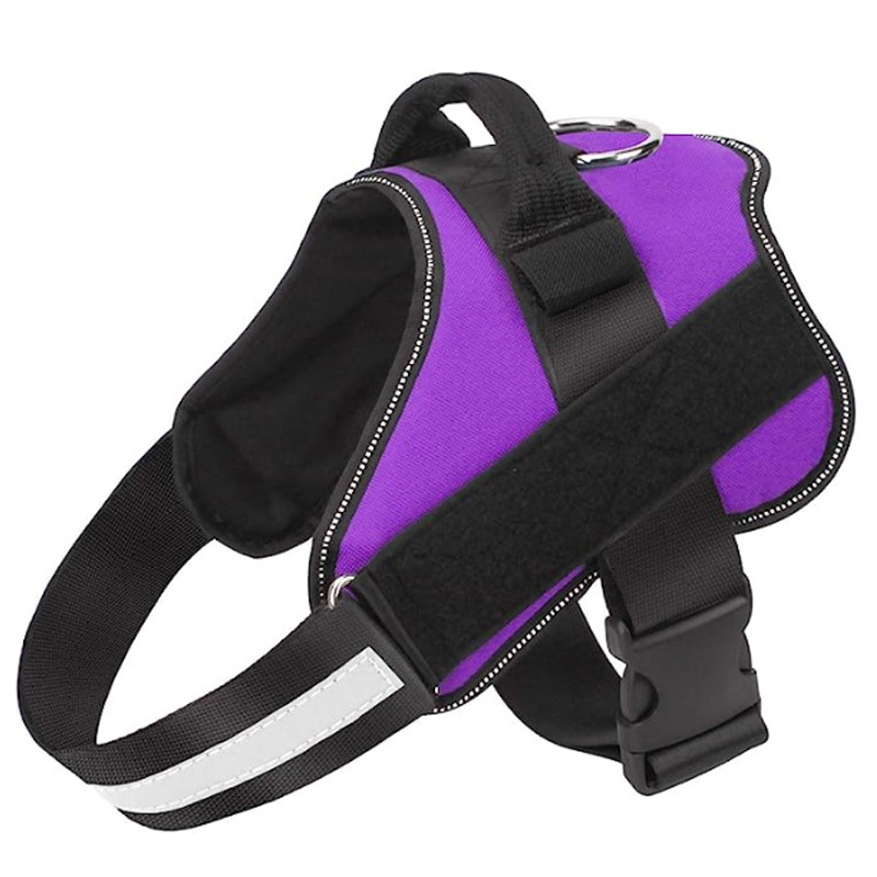 https://fulmo-img-server.com/wonderfulharness/dbd08c3a-c512-4783-8d81-8cb216d662a1.jpg