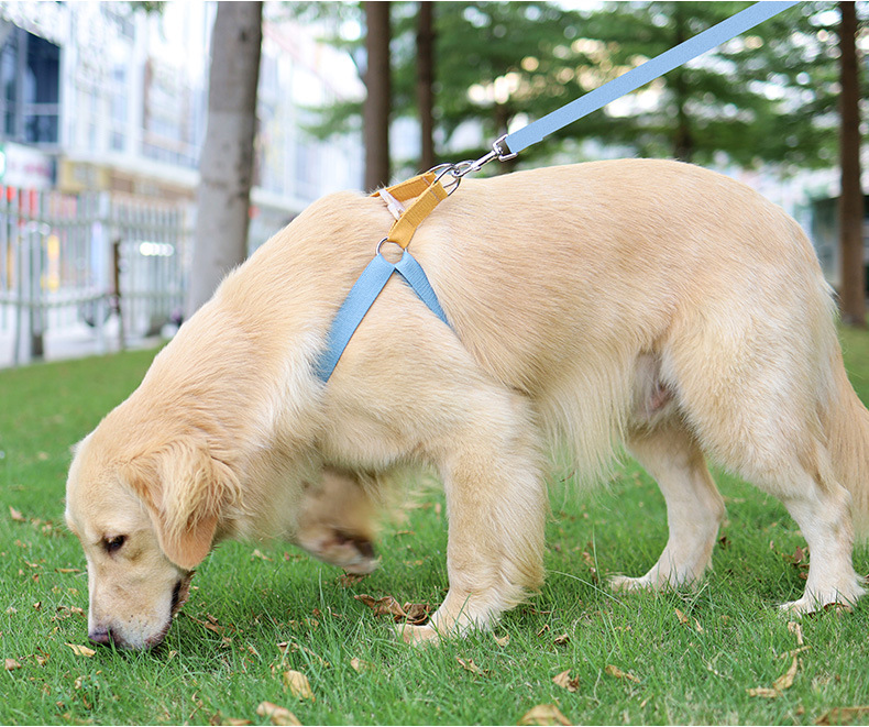 犬 ハーネス やさしい着け心地 ソフトハーネス
