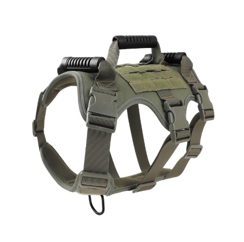 https://fulmo-img-server.com/wonderfulharness/dbfa5c24-6d8a-4eaa-9498-17accd0d1d1d.jpg