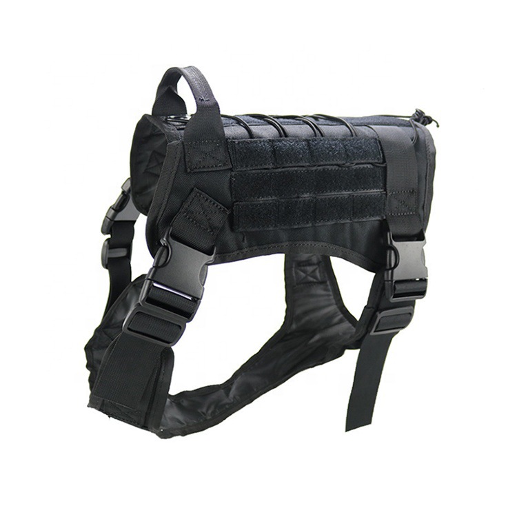 https://fulmo-img-server.com/wonderfulharness/dca64b49-dc58-45cf-a67b-7d0b84fb87cf.jpg