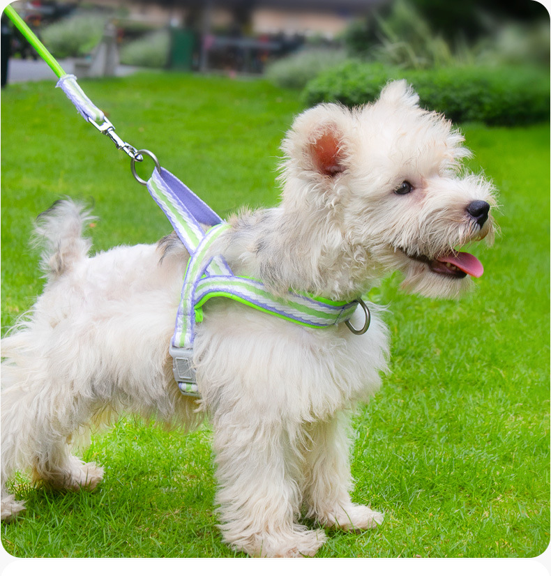 犬 ハーネス やわらか波織りハーネスセット