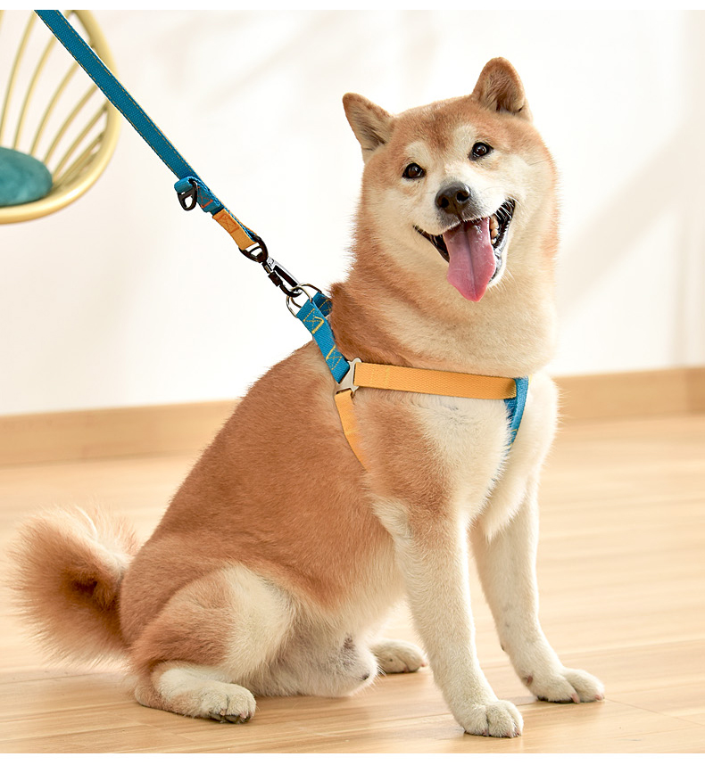 犬 ハーネス やさしさ包む シンプル基本ハーネス