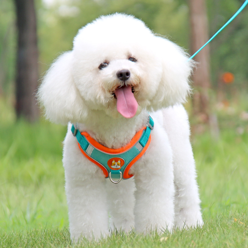 犬 ハーネス やわらか安心ハーネス