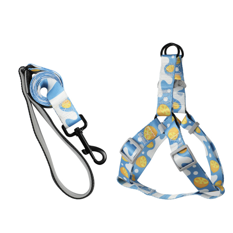 https://fulmo-img-server.com/wonderfulharness/dd635e44-0a0c-49a0-9dca-4ea857b0b2b7.jpg