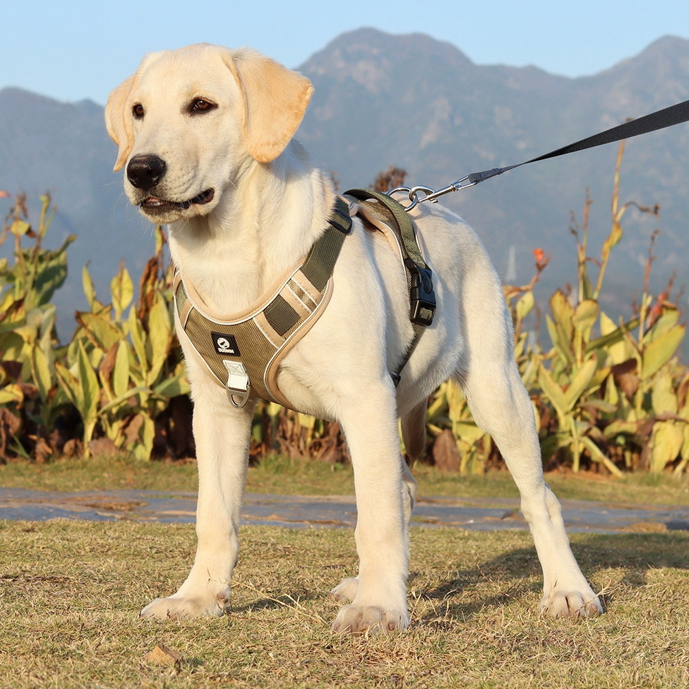 犬 ハーネス アウトドア対応 軽量ハーネス