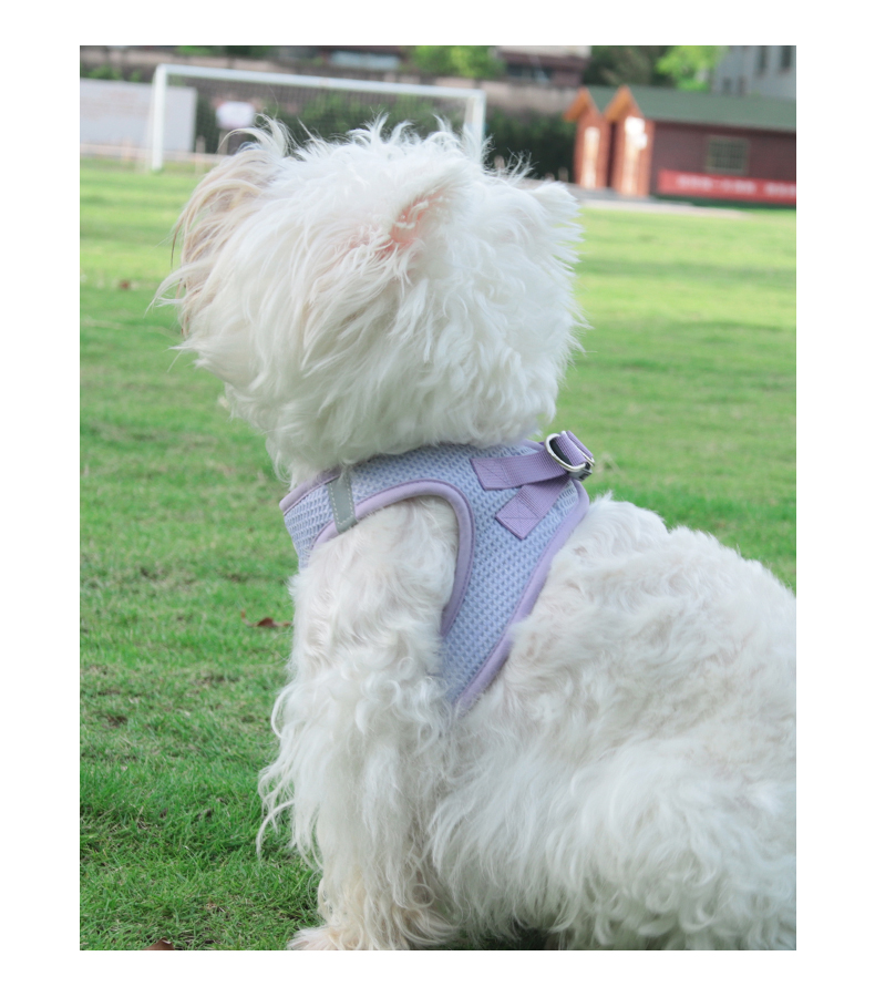 犬 ハーネス やわらか メッシュ ハーネス