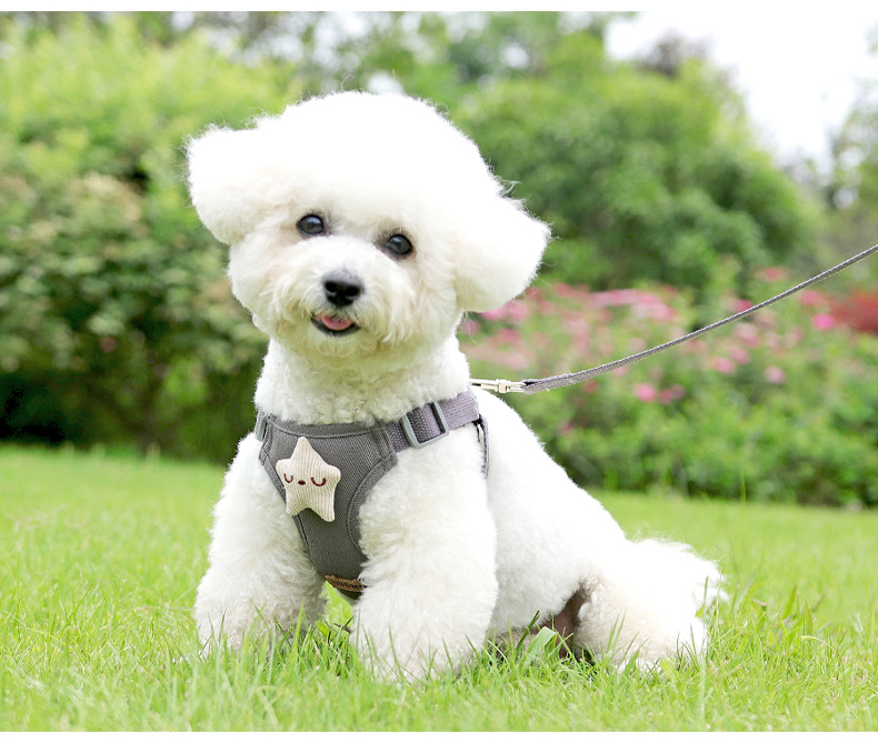 犬 ハーネス お花のついたふんわりハーネス