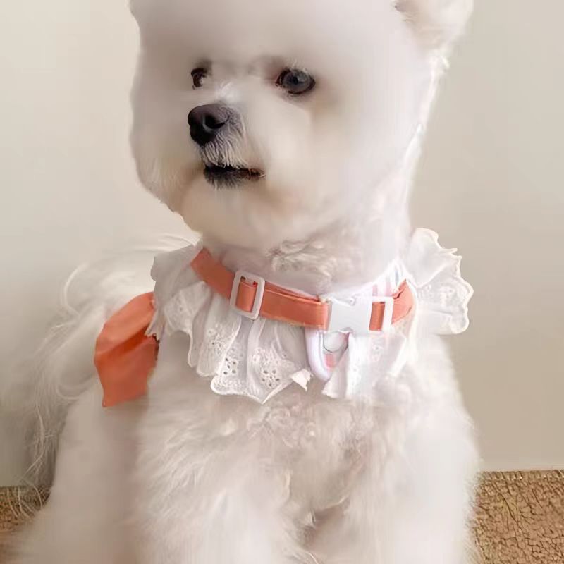https://fulmo-img-server.com/wonderfulharness/dfc398e4-77ca-42ab-8d69-f7a22ef88d91.jpg