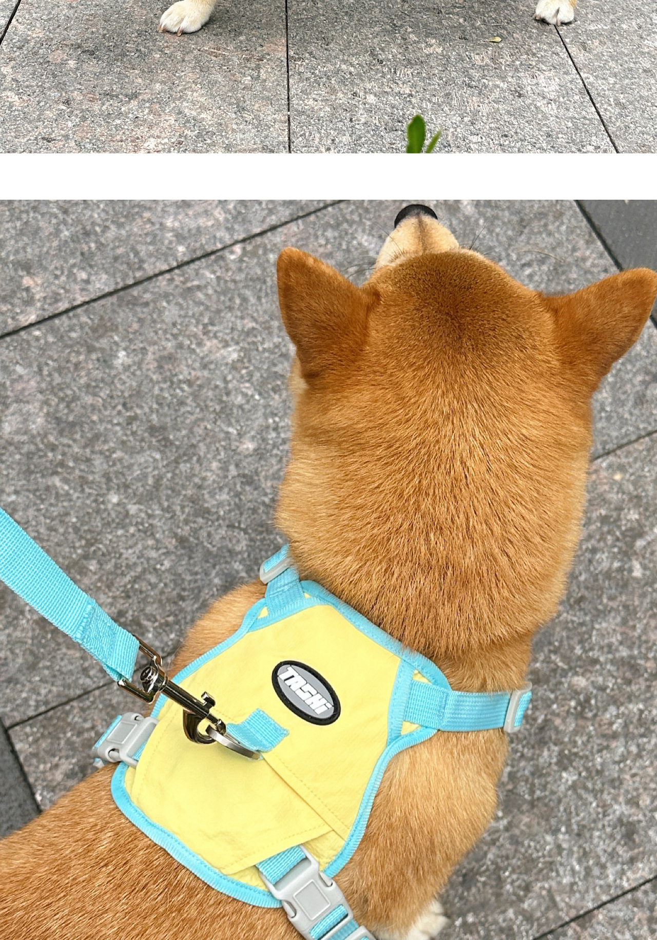 犬 ハーネス やさしさ包む 四季の散歩ハーネス