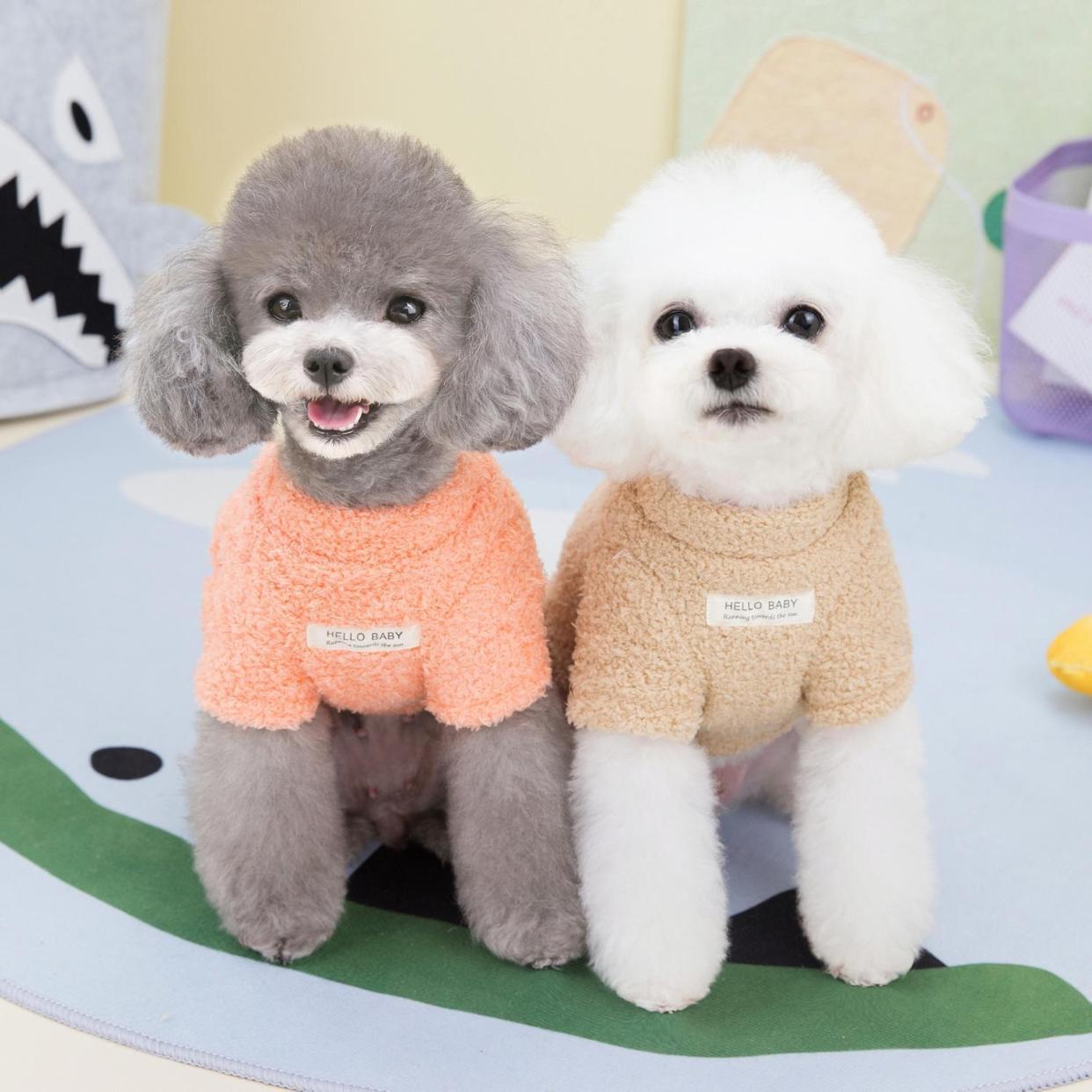 犬 ハーネス 生成エラーです
