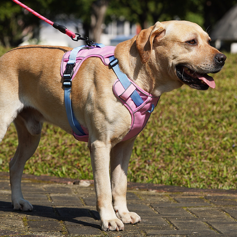 犬 ハーネス 快適おさんぽ 毎日ハーネス
