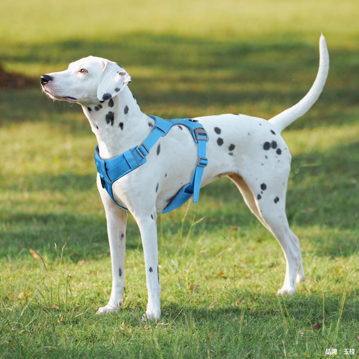 犬 ハーネス やさしい心地 お散歩ハーネス