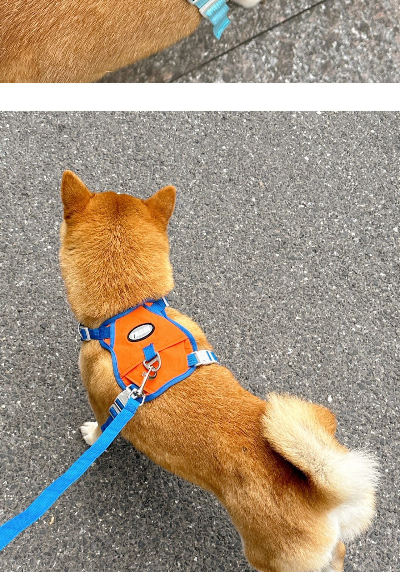 犬 ハーネス やさしさ包む 四季の散歩ハーネス
