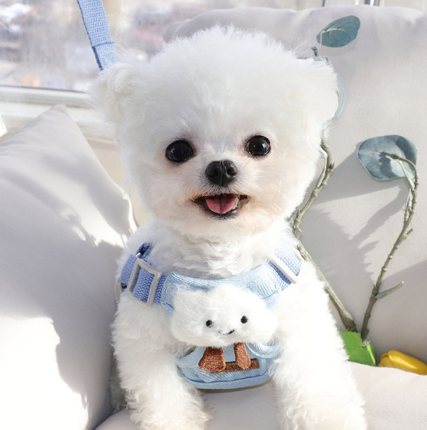 犬 ハーネス 癒やしのお花ちゃんハーネス