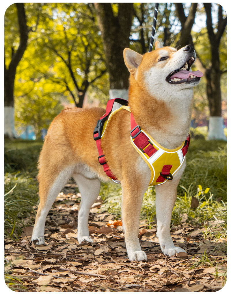 犬 ハーネス やさしさ包む快適ハーネス