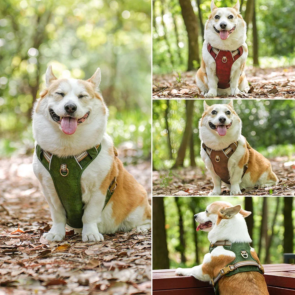 犬 ハーネス シンプル上質ハーネス 匠