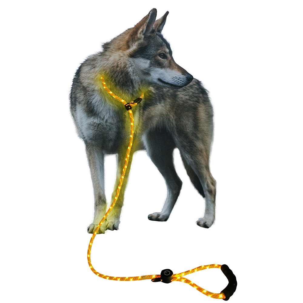 犬 ハーネス 光るハーネス「輝犬」