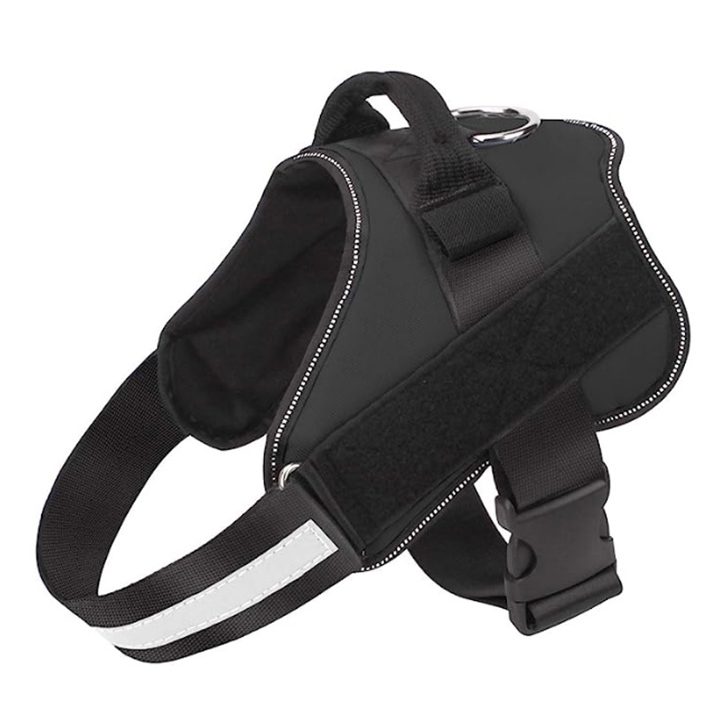 https://fulmo-img-server.com/wonderfulharness/e257fc24-a0d1-41ce-aa42-718d4ab0e850.jpg