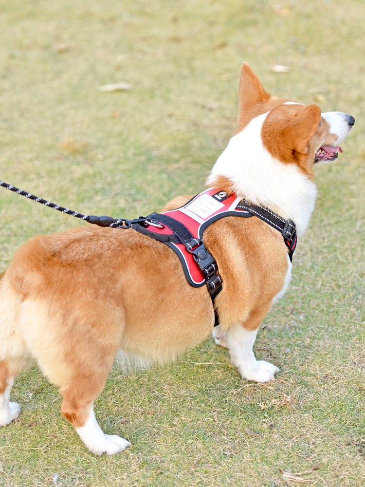 犬 ハーネス ペット職人の匠ハーネス