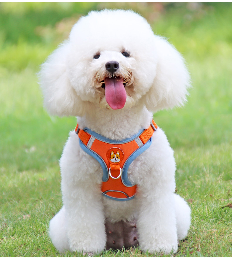 犬 ハーネス やわらか安心ハーネス