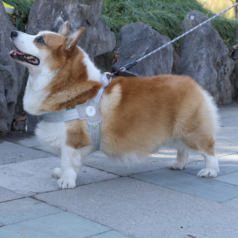 犬 ハーネス 光反射機能付き快適ハーネス