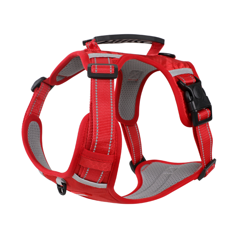 https://fulmo-img-server.com/wonderfulharness/e2ff2123-290d-4756-bacb-ca3d1052d4f1.jpg