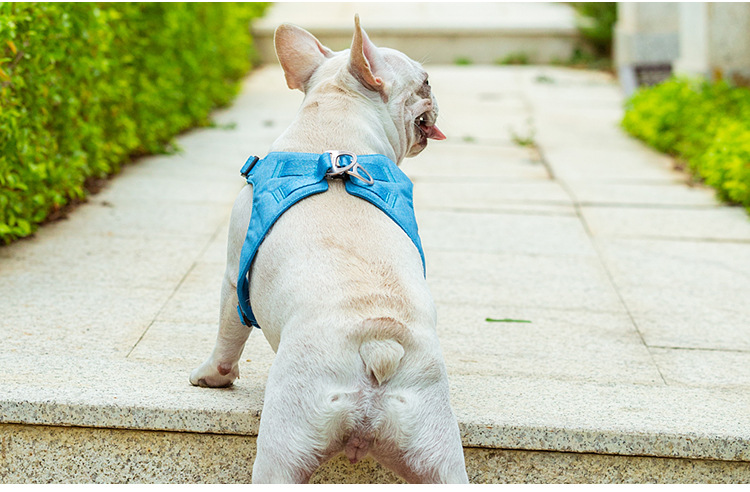 犬 ハーネス しなやかフィット やわらか胴輪