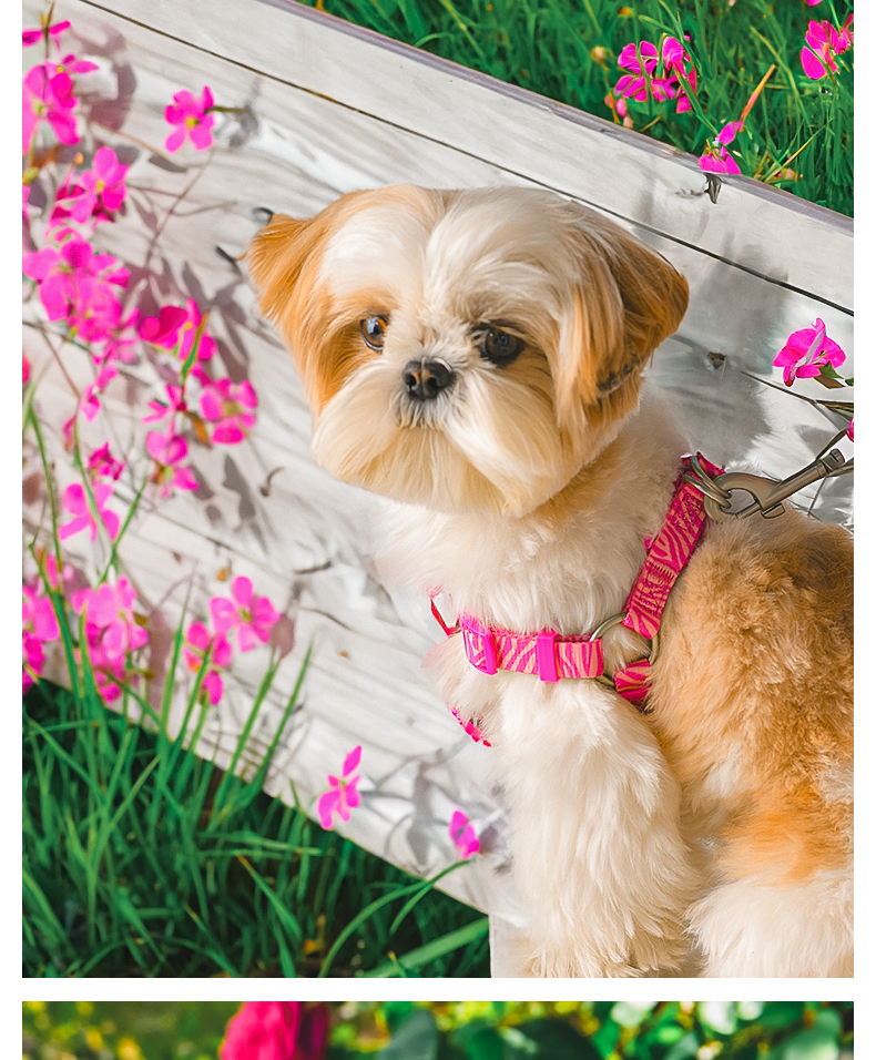 犬 ハーネス もこもこ優しさハーネス