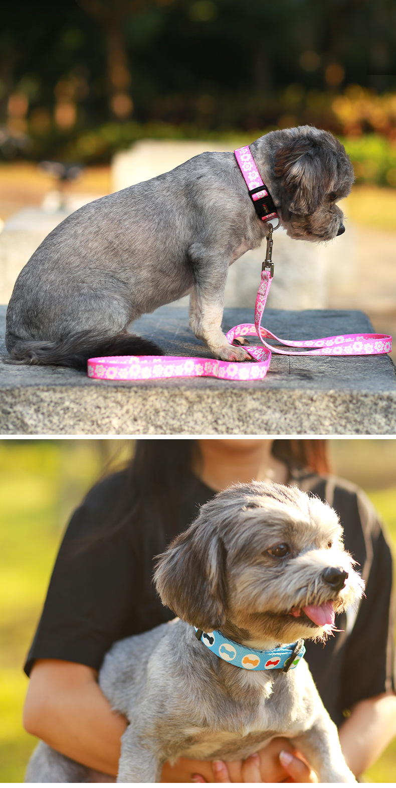 犬 ハーネス やさしい模様のペット用首輪＆リードセット