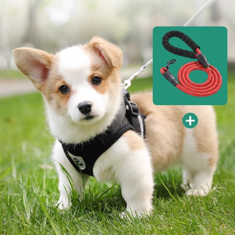 https://fulmo-img-server.com/wonderfulharness/e3810a72-f66c-4034-840c-2b1542caa4d9.jpg