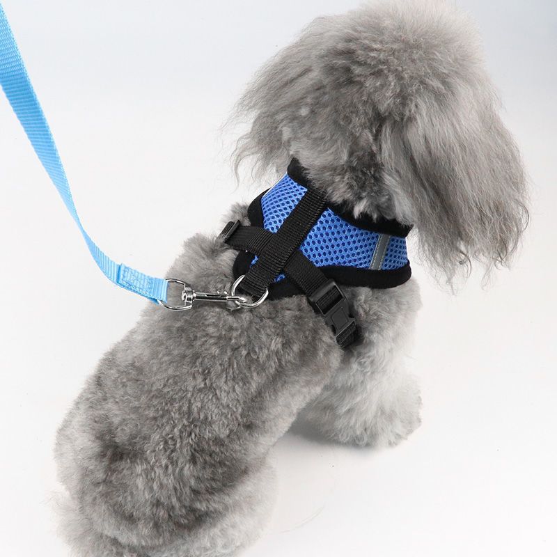 犬 ハーネス メッシュ素材のやさしいハーネス