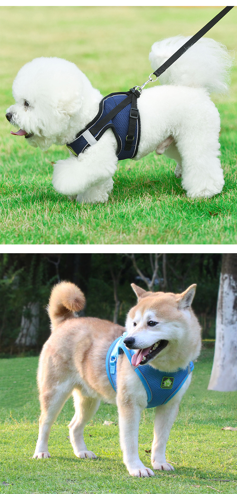 犬 ハーネス やさしい呼吸メッシュハーネス