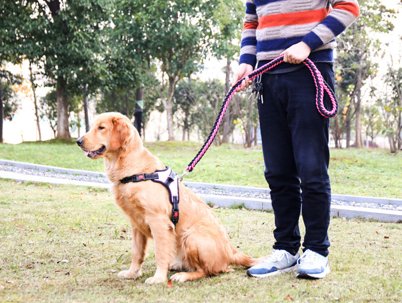 犬 ハーネス もこもこ編み込みハーネスセット