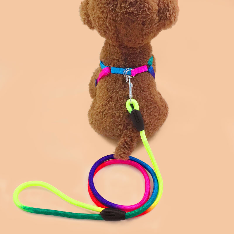 犬 ハーネス やわらかリード＆ハーネスセット