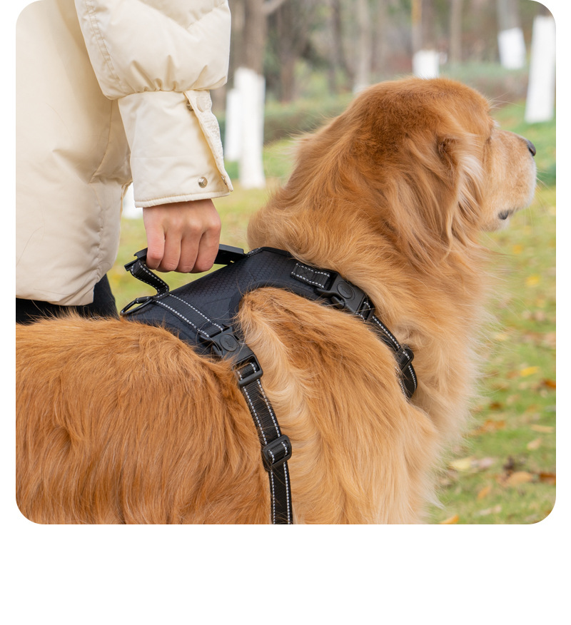 犬 ハーネス やさしい装着感 軽量メッシュハーネス