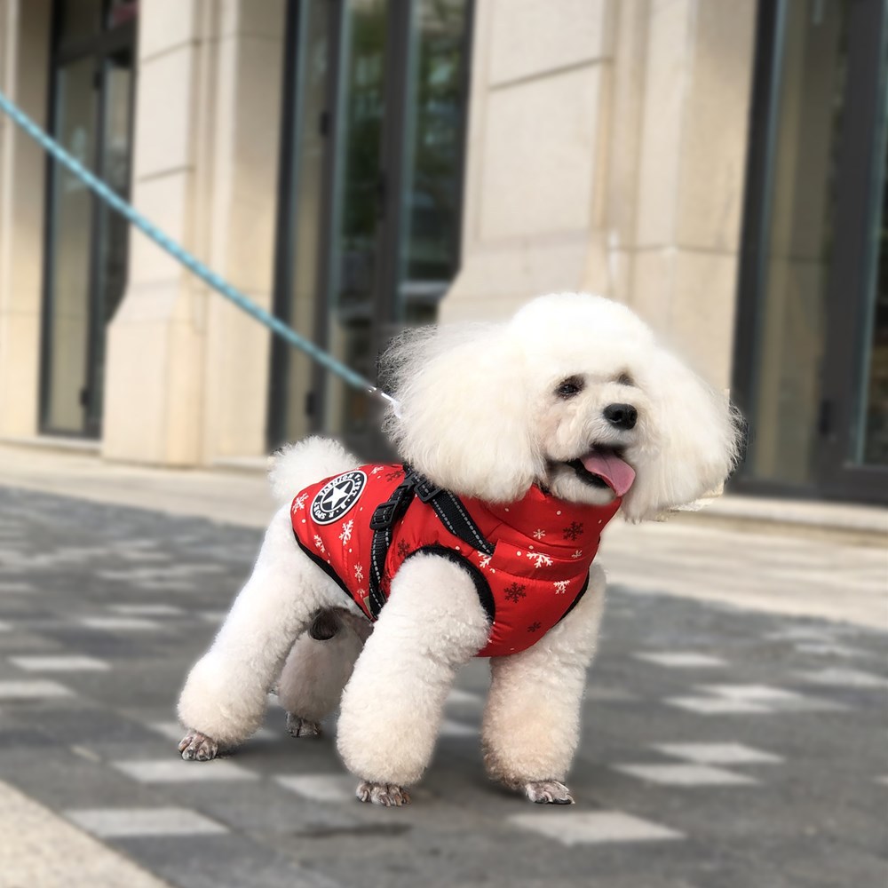 犬 ハーネス 雪山用アウトドアハーネス