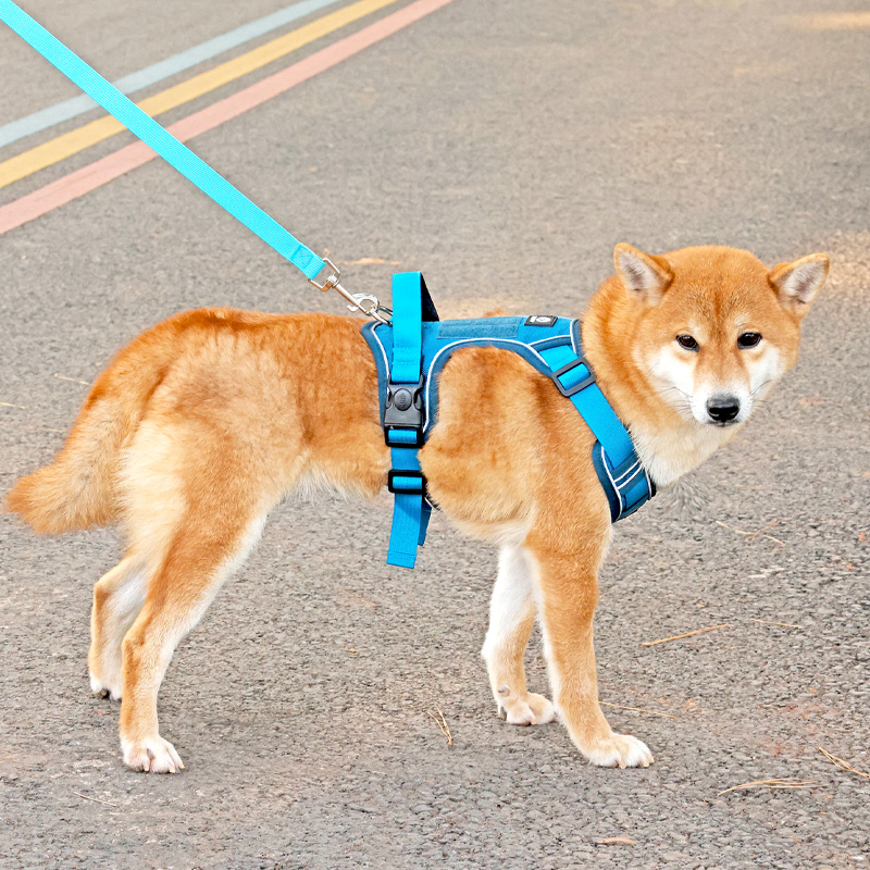 犬 ハーネス やさしい装着感 簡単ハーネス